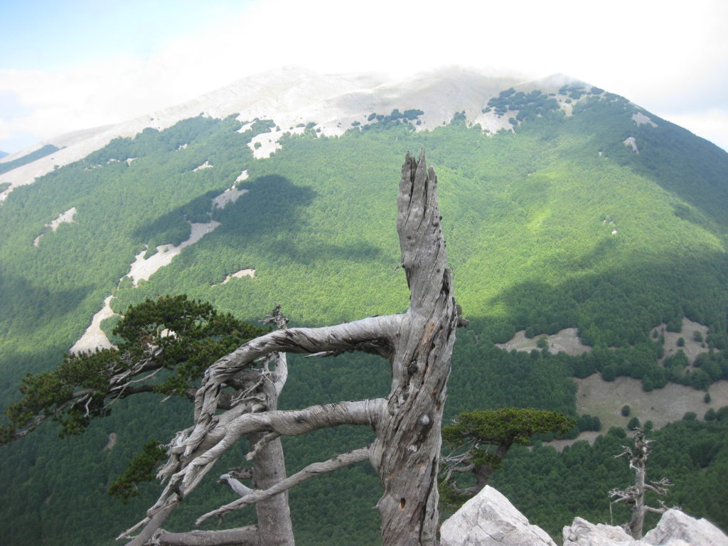 Trekking nel Pollino