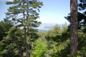 Trekking nel Parco Nazionale della Sila