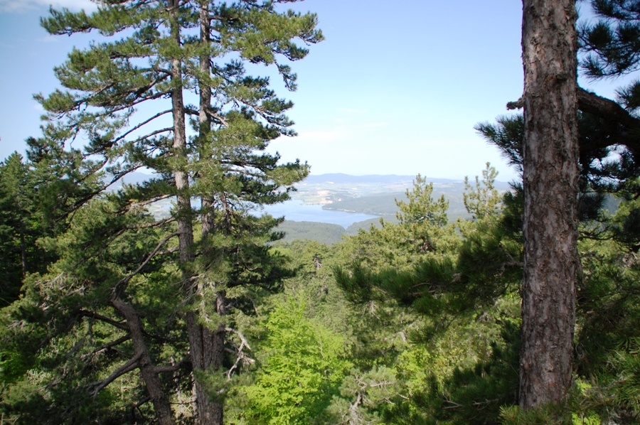Trekking nel Parco Nazionale della Sila